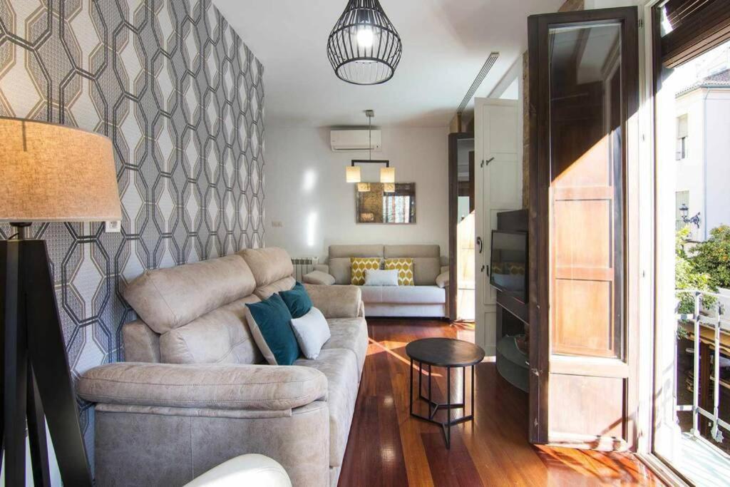 Eco Center Granatensis Catedral 2 Habitaciones Free Parking グラナダ エクステリア 写真